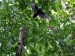 (113)IMG_8470